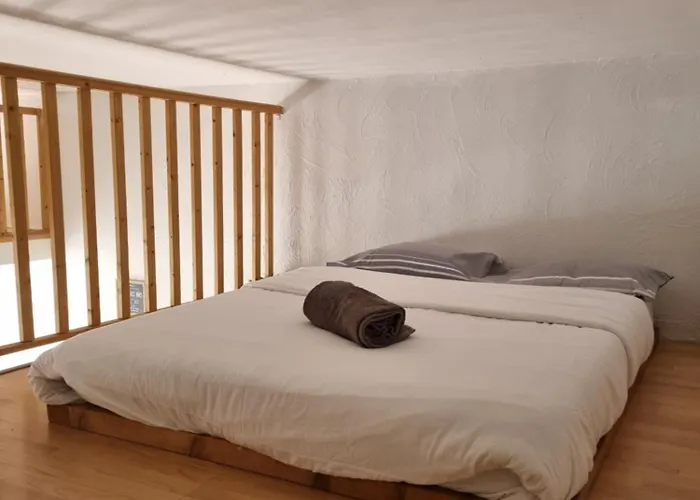 Apartment Loft Avec Mezzanine, Limitrophe Monaco
